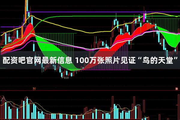 配资吧官网最新信息 100万张照片见证“鸟的天堂”